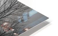 Vanishing Point HD Metal print