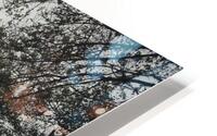 Branches HD Metal print