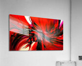 IMG 6708 Acrylic Print