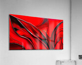 IMG 6707 Acrylic Print