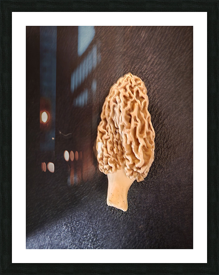 20230510 204053 Picture Frame print