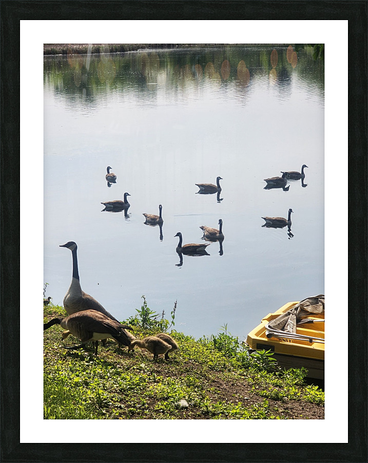 20230521 162339 Picture Frame print