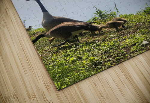 20230521 162339 Createbloomer puzzle