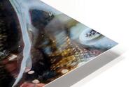 image HD Metal print