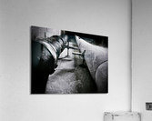 Segregated Acrylic Print