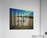 Driftwood Beach Acrylic Print