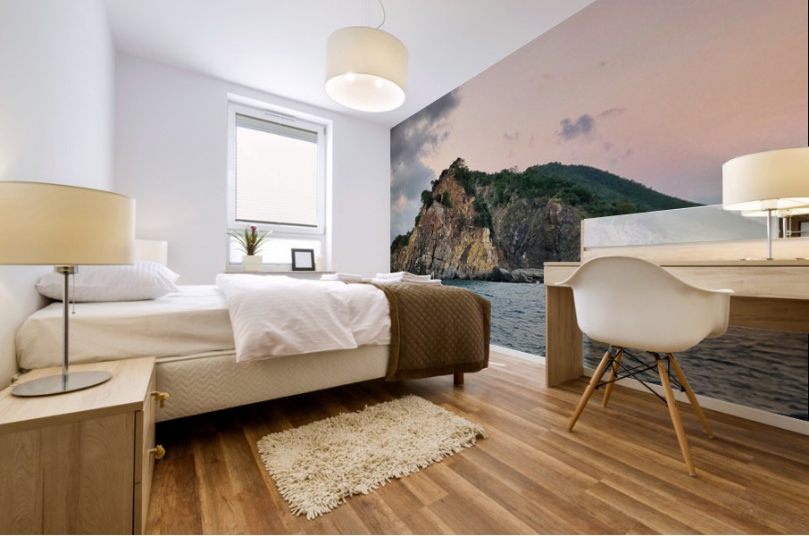 Virgin Islands 2 Mural print