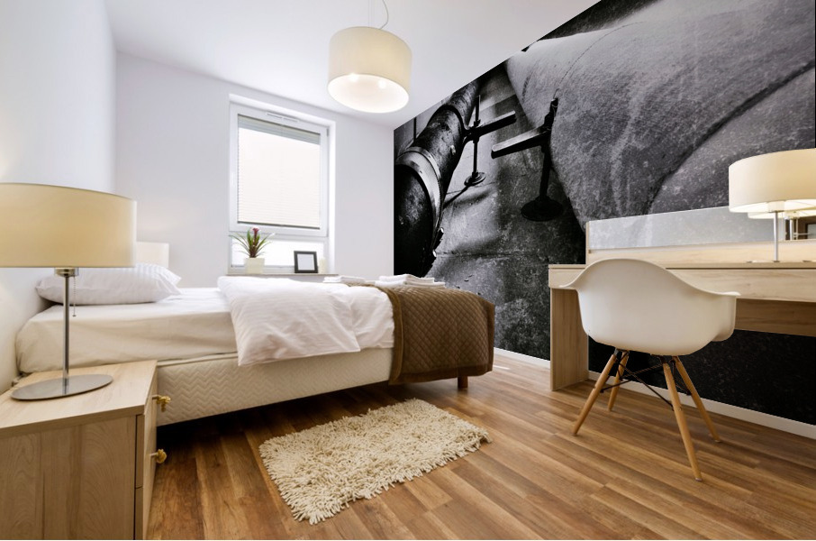 Segregated Mural print