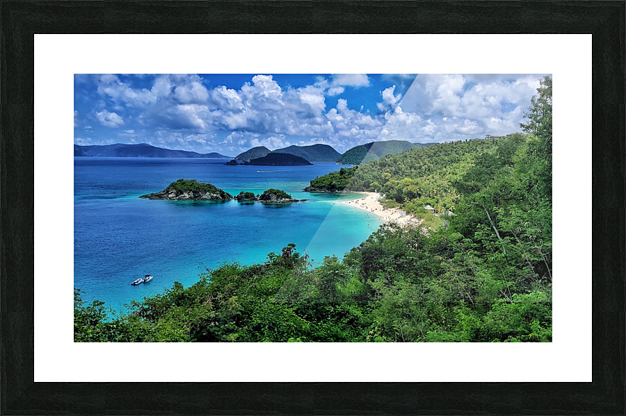 Trunk Bay St. John 2 Picture Frame print