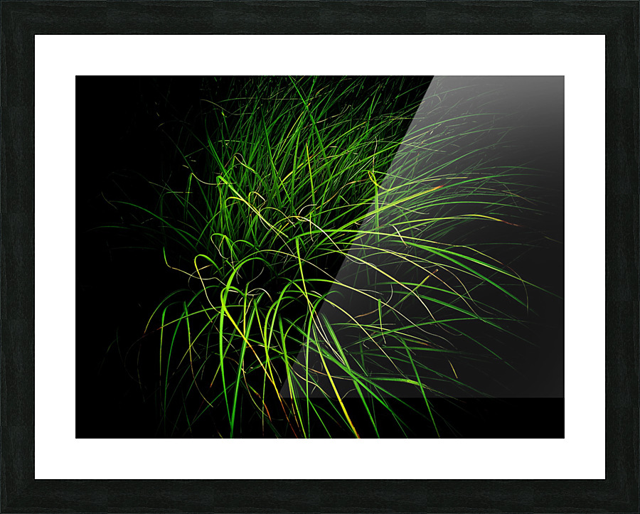 Blades Picture Frame print