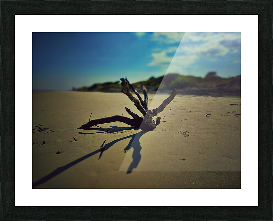 Driftwood Beach Picture Frame print