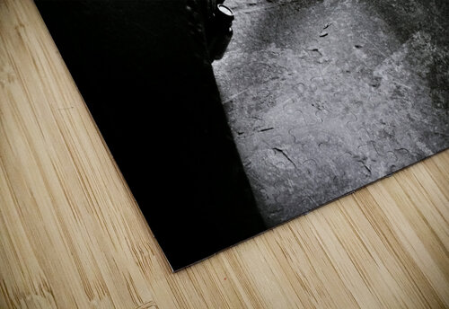 Segregated Robert Lankford puzzle