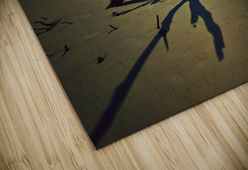 Driftwood Beach Robert Lankford puzzle