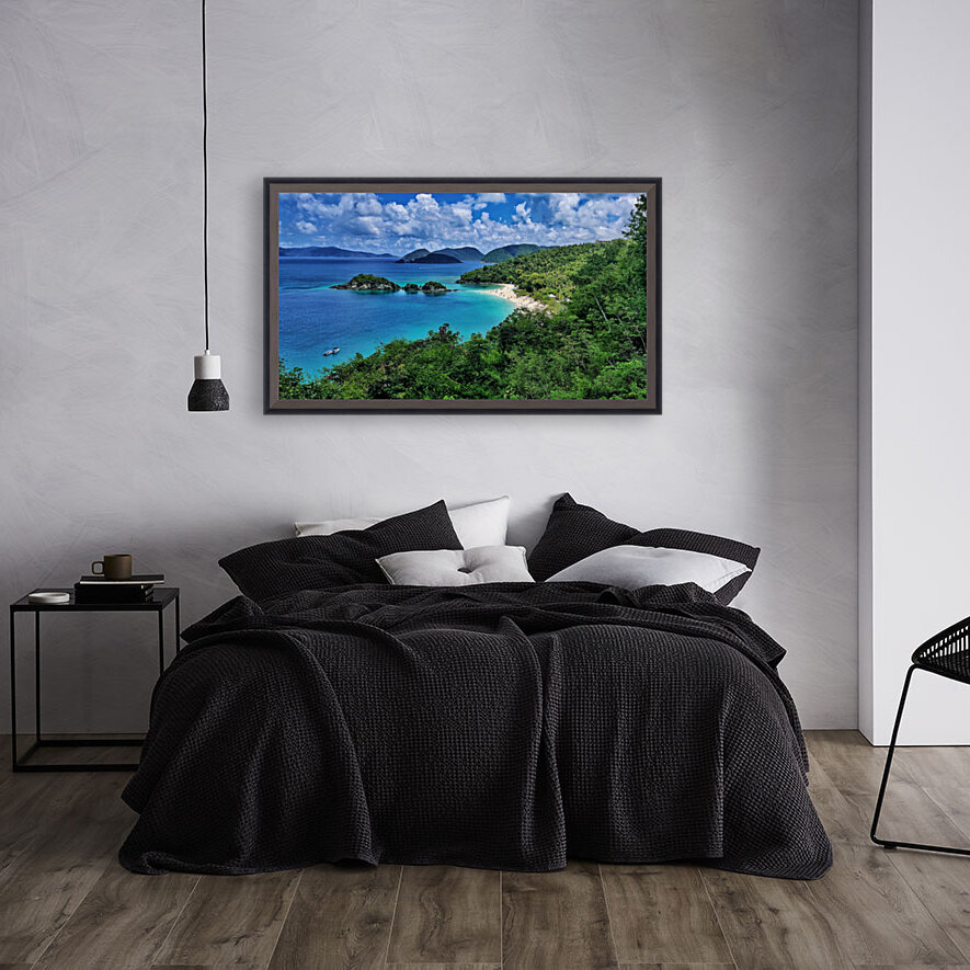 Trunk Bay St. John 2 Reproduction