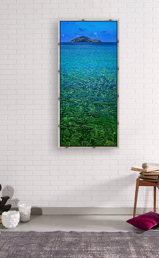 Virgin Islands Reproduction