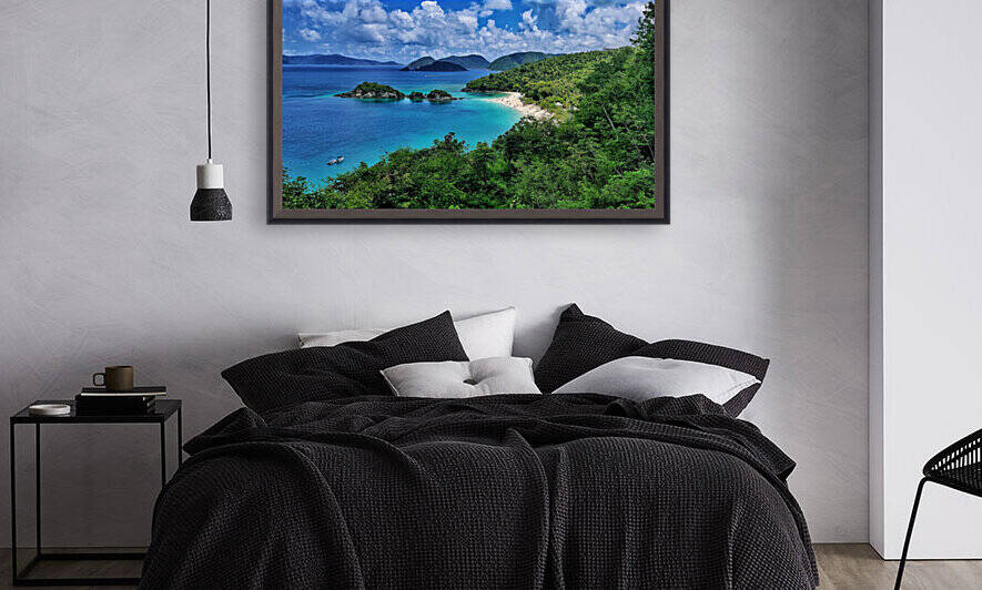 Trunk Bay St. John 2 Reproduction