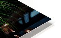 Blades HD Metal print
