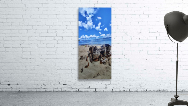 Beach 3 Wall Preview