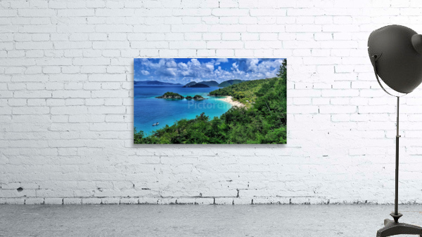 Trunk Bay St. John 2 Wall Preview