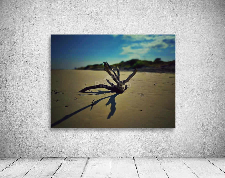 Driftwood Beach Wall Preview