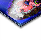 STEVEN TYLER Acrylic print