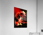 stieve ray Acrylic Print
