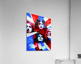 Queen Acrylic Print
