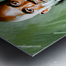 KEVIN GARNETT Metal print