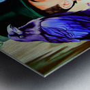 Dave matthews  Metal print