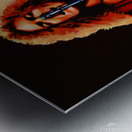 Robert Plant Metal print