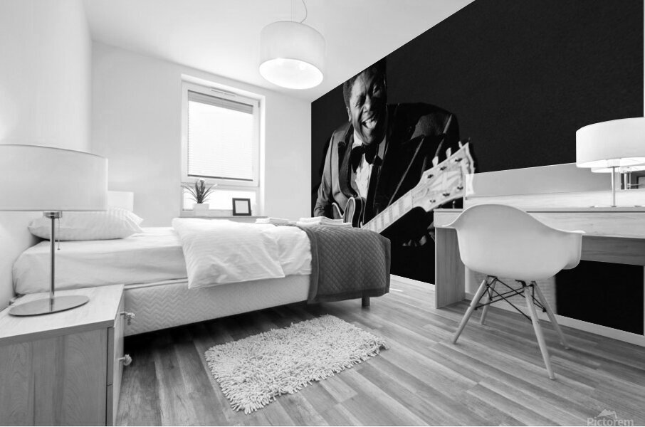 bb king Mural print