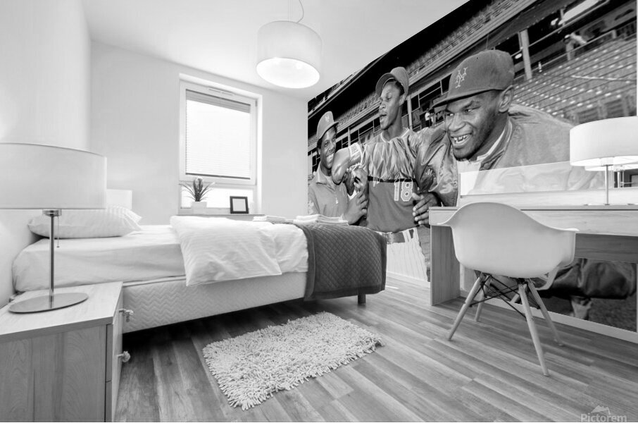 dwight gooden darryl Mural print
