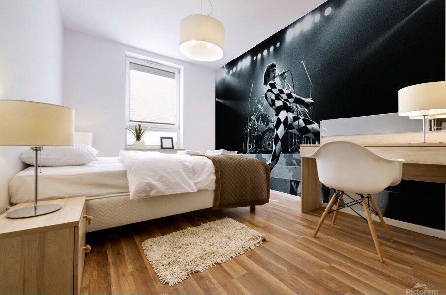  freddie mercury Mural print
