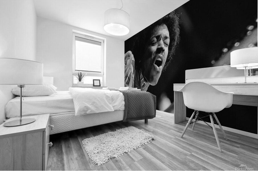 jimi hendrix Mural print