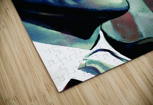 OBAMA Dennis Wonder puzzle