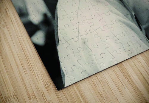 jackie robinson Dennis Wonder puzzle