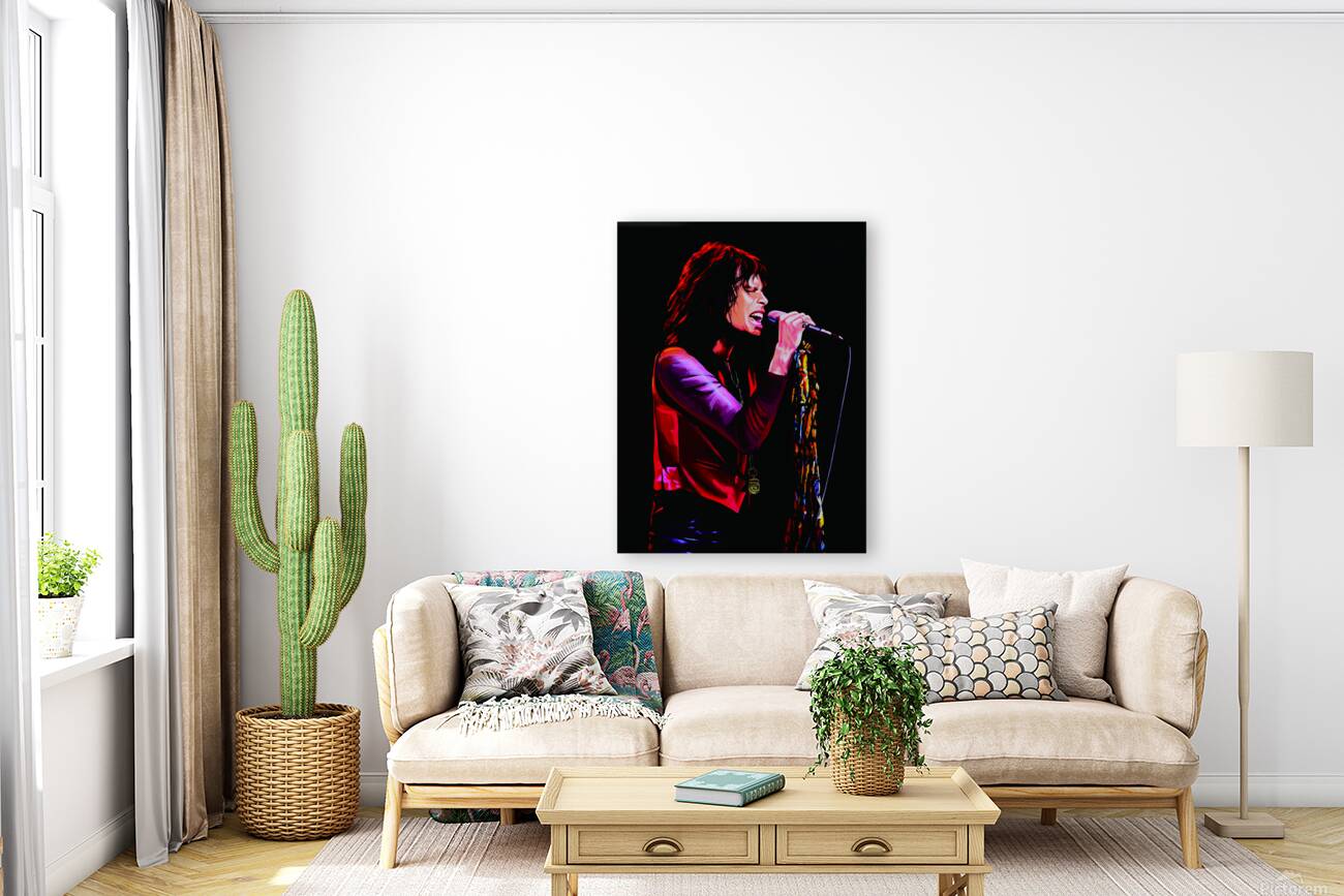 steven tyler Reproduction