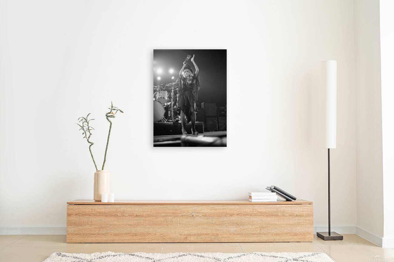 fleetwood mac Reproduction