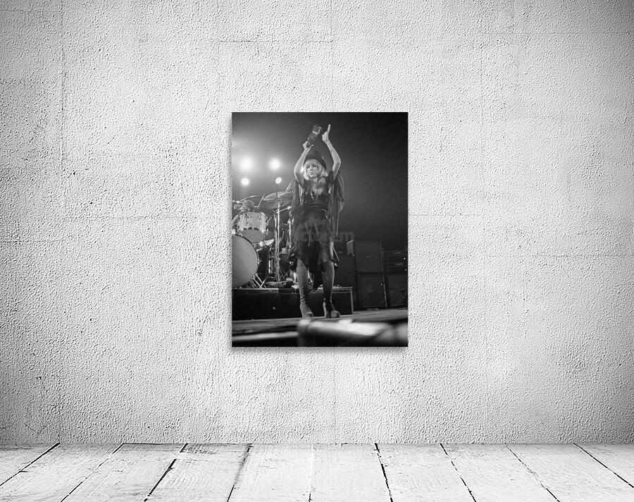 fleetwood mac Wall Preview