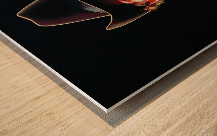 Bob Dylan Wood print