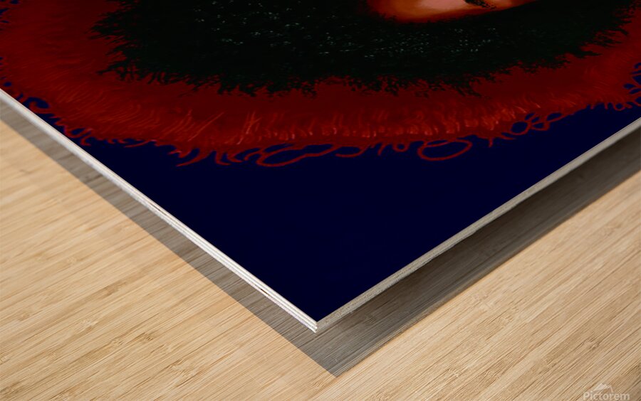 Jimi hendrix Wood print