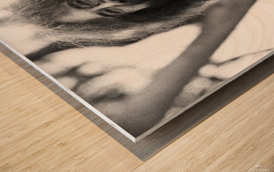 jerry garcia performs live Wood print
