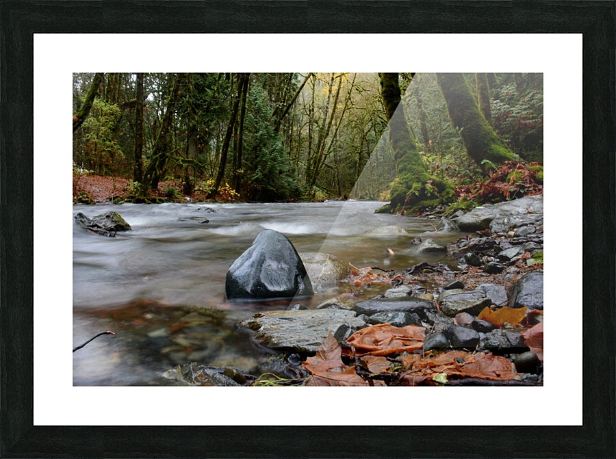 Forest Serenity Picture Frame print
