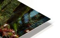 Forest Serenity HD Metal print