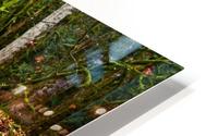Goldstream River BC HD Metal print