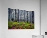 Silence Acrylic Print