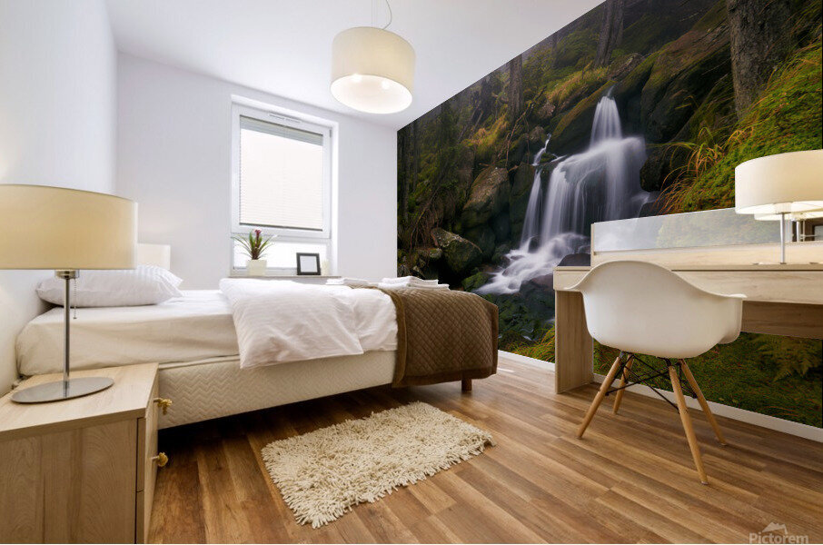 This is Romania Mural print