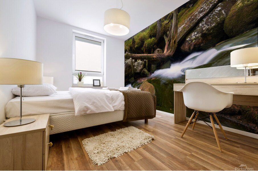 Waters powers Mural print