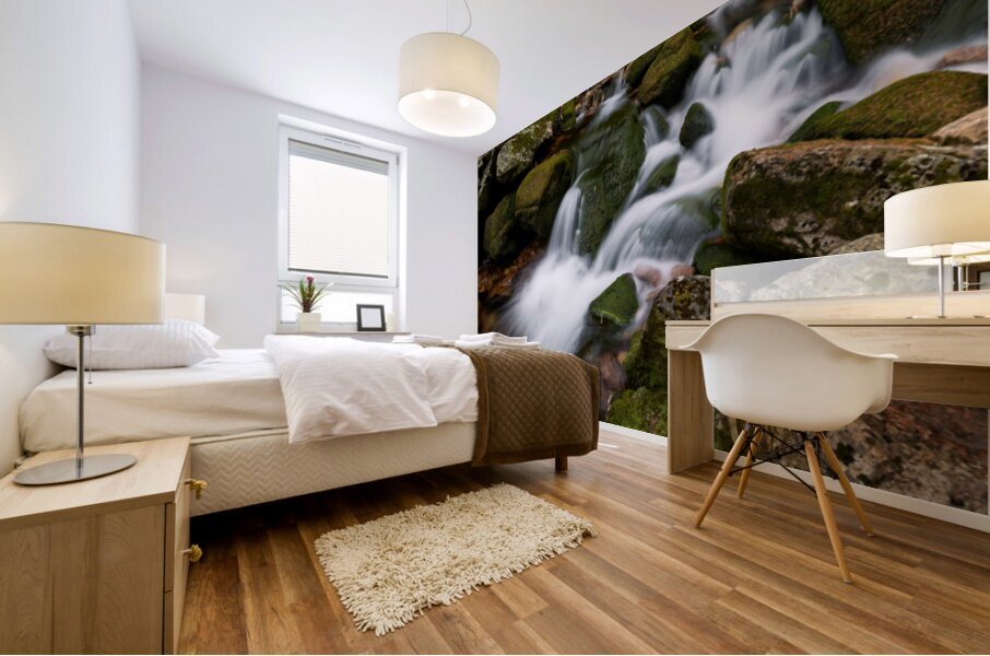 Waterfalls details Mural print