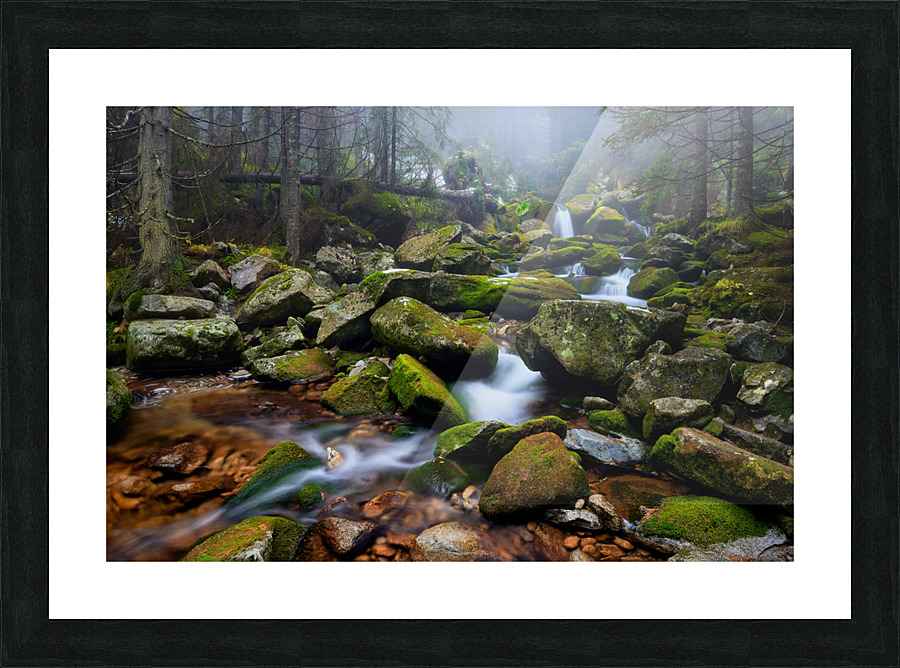 Forest Dream in Retezat Picture Frame print